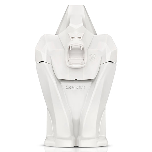 Insurrection Collector Alpha Male 100ml EDP מחיר