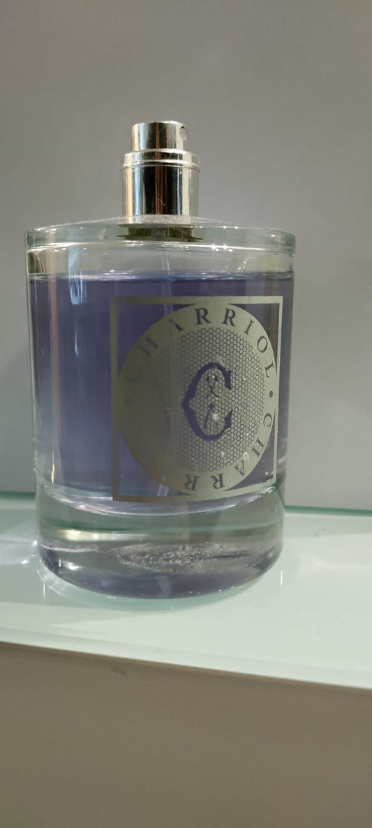Charriol Infinite Celtic 100ml E.D.T לגבר